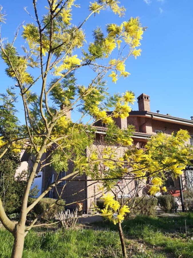B&B Casa Dei Camini Bentivoglio Extérieur photo